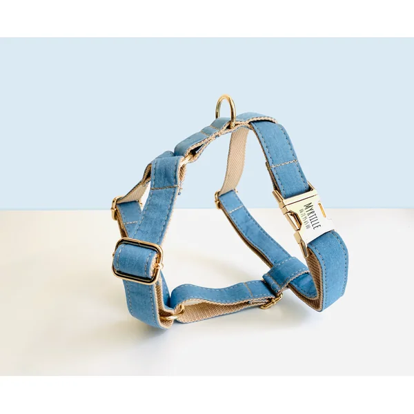 Kit Complet Chien Personnalisé Coton Bleu Jean
