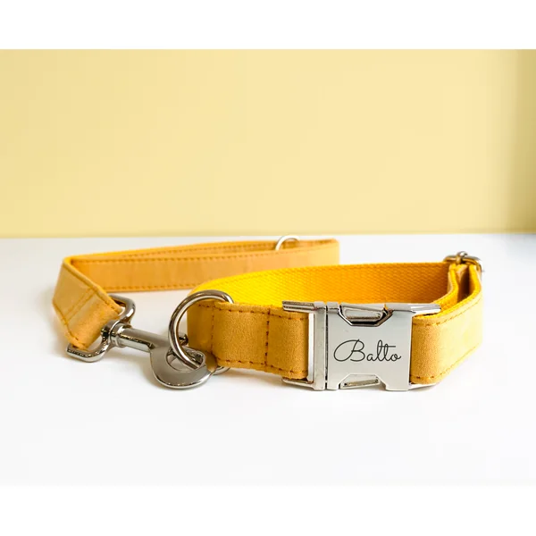Kit Complet Chien Personnalisé Coton Jaune