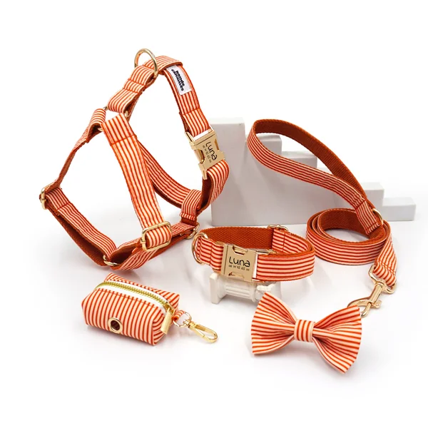 Kit Complet Chien Personnalisé Coton Rayé Orange