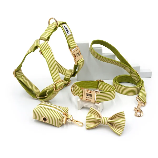 Kit Complet Chien Personnalisé Coton Rayé Vert