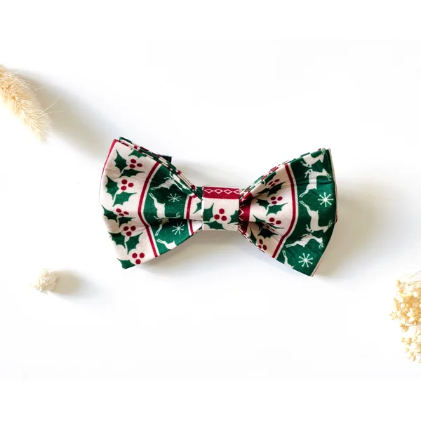 Kit Complet Chien Personnalisé Coton Édition Spécial Noël