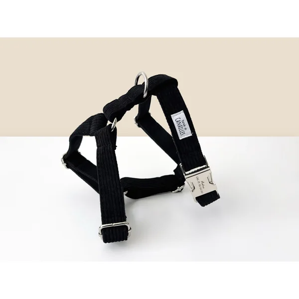 Kit Complet Chien Personnalisé Velours Côtelé Noir