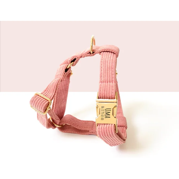 Kit Complet Chien Personnalisé Velours Côtelé Rose