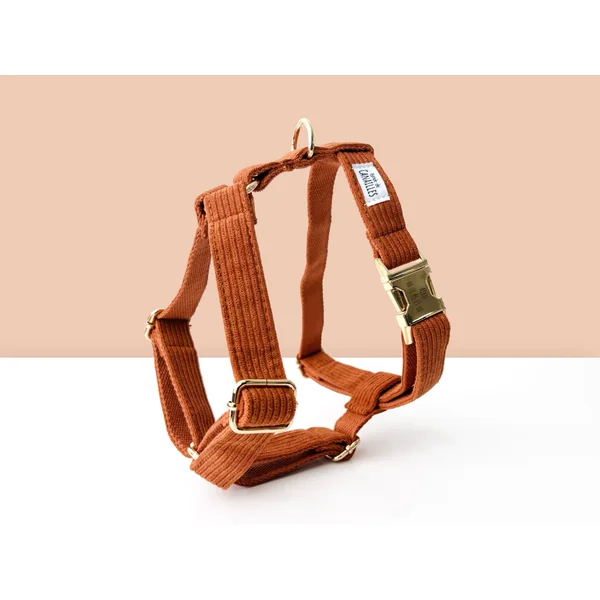 Kit Complet Chien Personnalisé Velours Côtelé Terre Battue