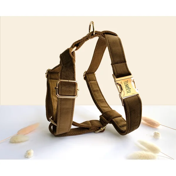 Kit Complet Chien Personnalisé Velours Lisse Marron