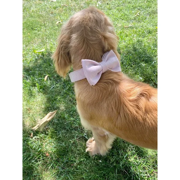 Kit Complet Chien Personnalisé Velours Lisse Rose