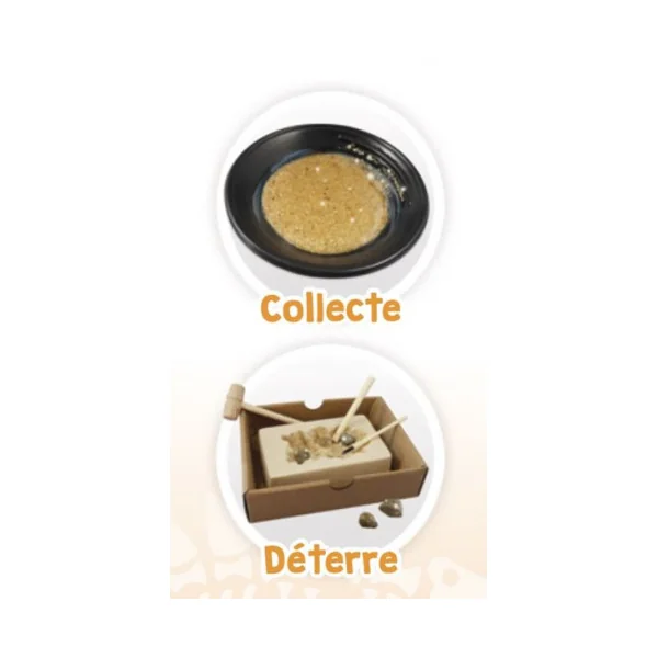 Kit de chercheur d'or - Buki