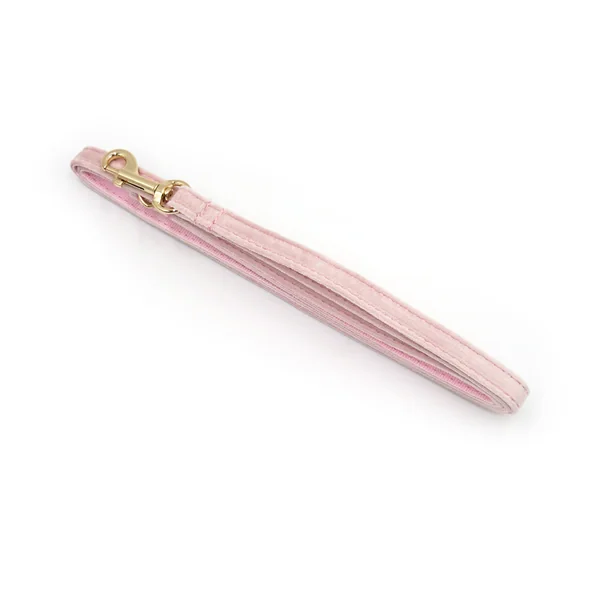 Laisse Chat et Chaton Velours Lisse Rose