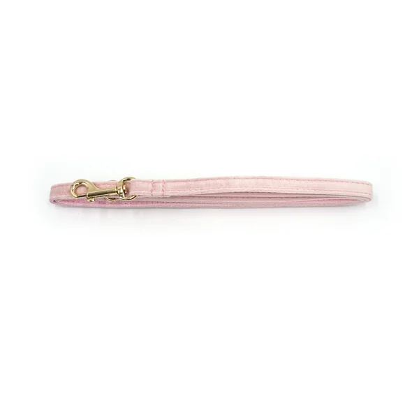 Laisse Chat et Chaton Velours Lisse Rose