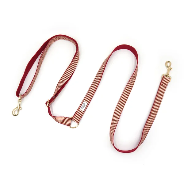 Laisse Chien Coton Bordeaux Rayé