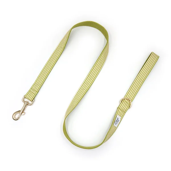 Laisse Chien Coton Vert Rayé