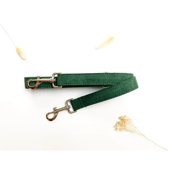 Laisse Chien Coton Vert Sapin