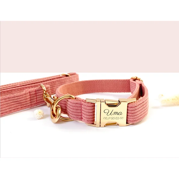 Laisse Chien Velours Côtelé Rose