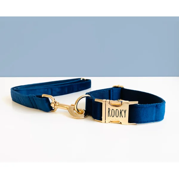 Laisse Chien Velours Lisse Bleu Marine