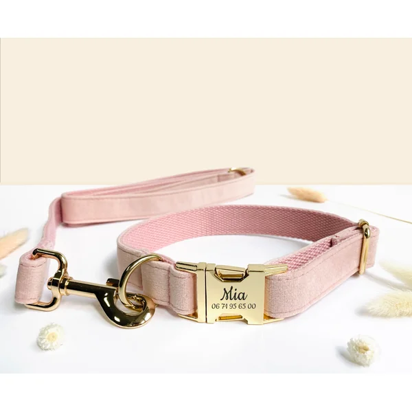 Laisse Chien Velours Lisse Rose