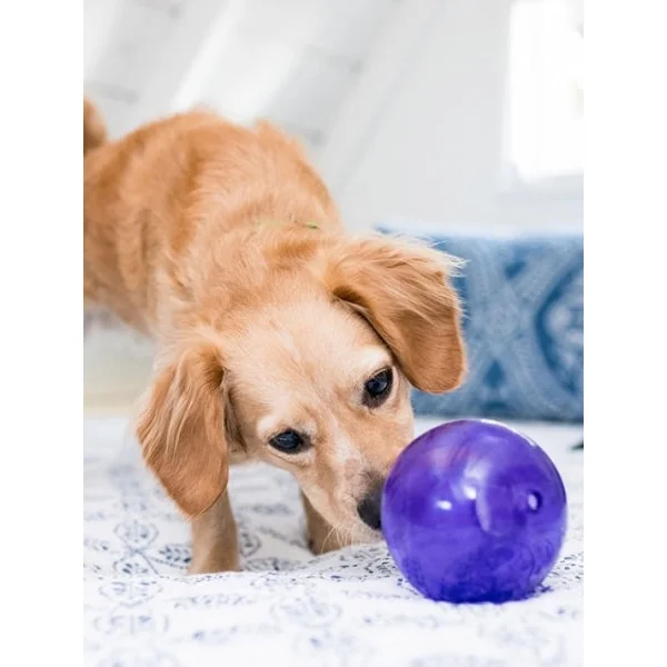 Lil Snoop Orbee-Tuff pour chiot - jouet interactif distributeur de friandises