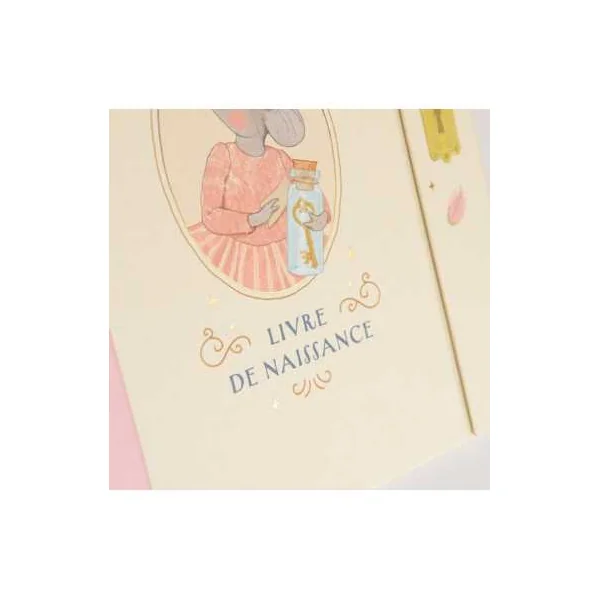 Livre de naissance La petite école de danse - Moulin Roty
