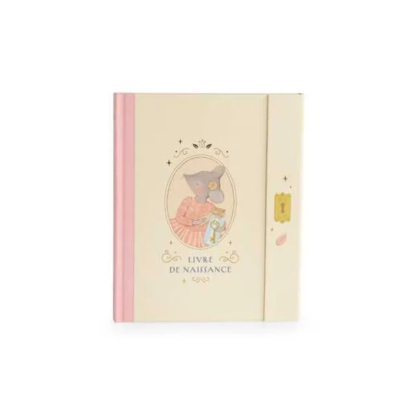 Livre de naissance La petite école de danse - Moulin Roty