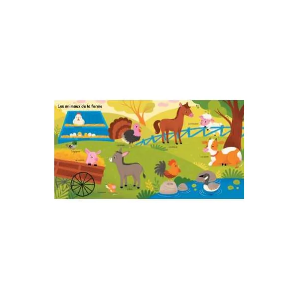 Livre mes 100 mots pour découvrir les animaux - Auzou