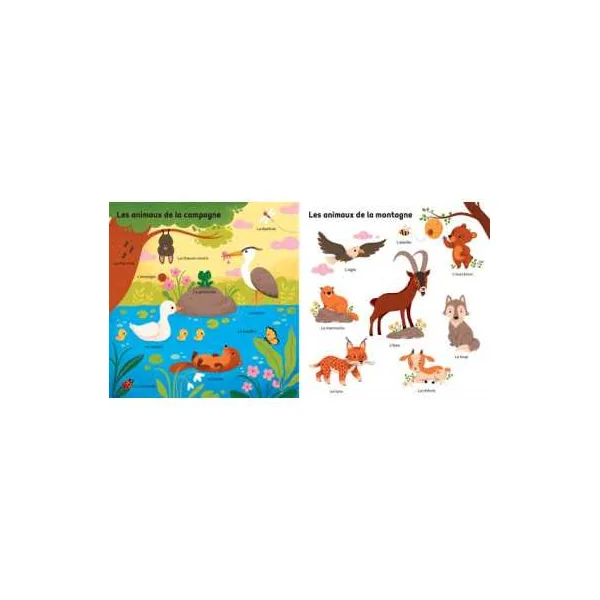 Livre mes 100 mots pour découvrir les animaux - Auzou