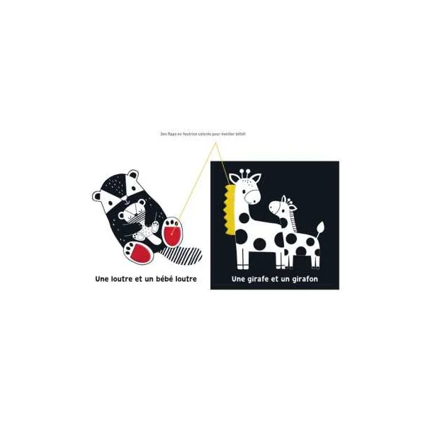 Livre Mes premiers flaps Les bébés animaux - Auzou
