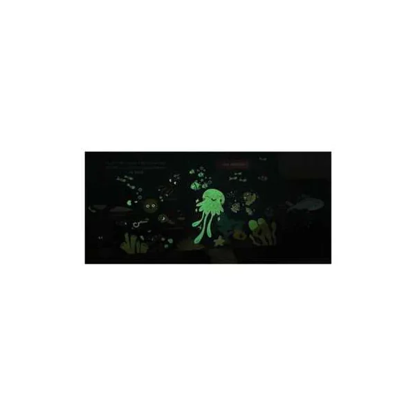 Livre Mon Anim'agier je brille dans la nuit - Auzou