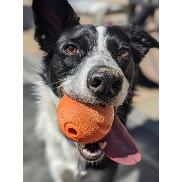 Lot de 2 balles pour chien en caoutchouc - The Whistler - Chuck It! - Taille M