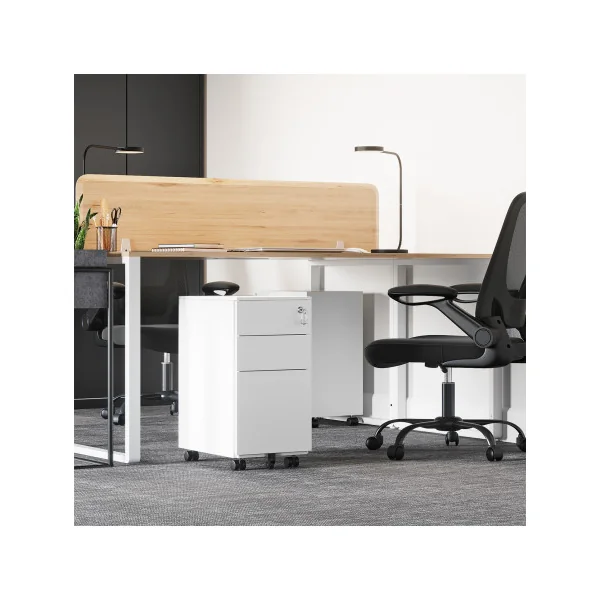 Lot de 2 Caissons de Bureau en Acier Blanc Meuble de Bureau 2 Tiroirs