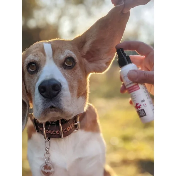 Lotion soin des oreilles pour chien - Clean Ear - Biogance