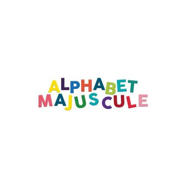 Magnets alphabet majuscules bois 77 pièces - Vilac