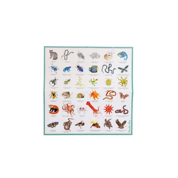 Memory des animaux Tout autour du monde - Moulin Roty
