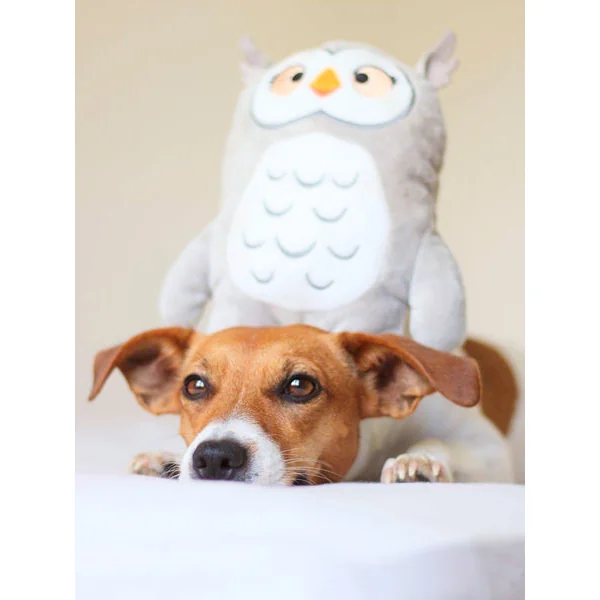Molly la Chouette - Peluche pour chien
