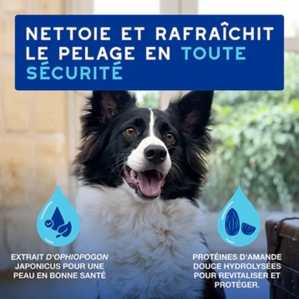 Mousse sans rinçage hypoallergénique chien 150 ml
