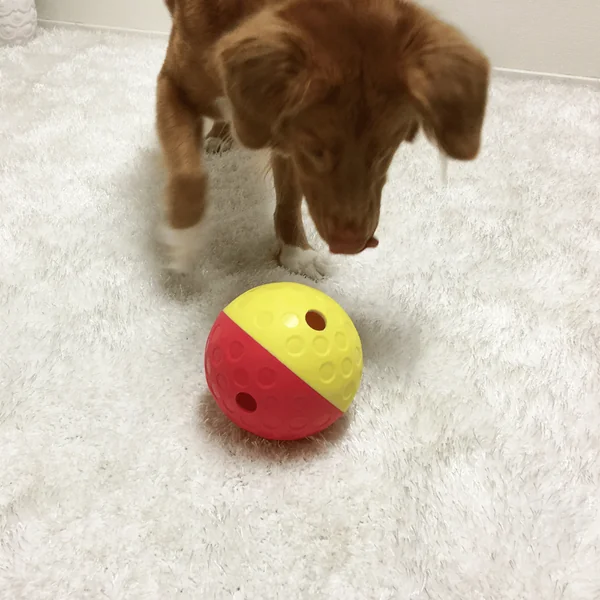 Nina Ottosson Balle à friandises Treat Tumble Rouge et jaune - Ø 13 cm