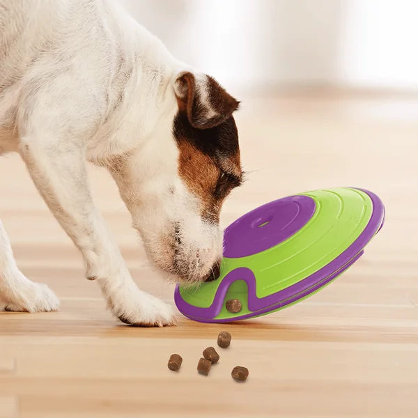 Nina Ottosson Jeu d'intelligence Treat Maze Niveau 2 Vert et violet - Ø 18 cm