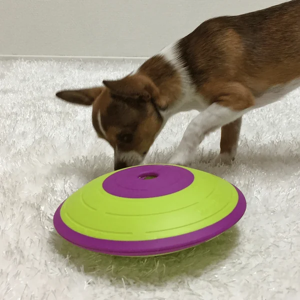 Nina Ottosson Jeu d'intelligence Treat Maze Niveau 2 Vert et violet - Ø 18 cm