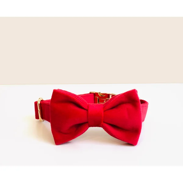 Noeud Papillon Velours Lisse Rouge