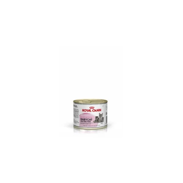 Nourriture humide