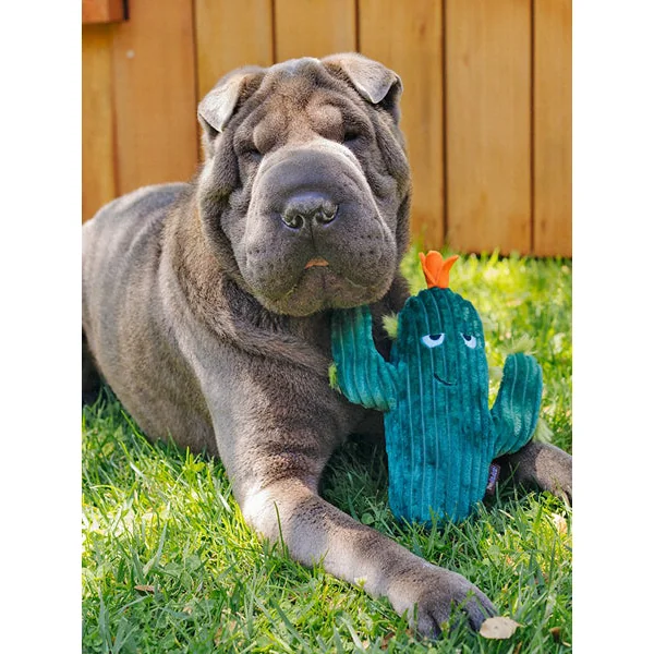 Peluche pour chien Blooming Buddies - Cactus 🌵 - Pet PLAY
