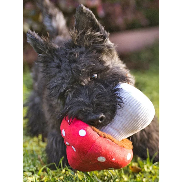 Peluche pour chien Blooming Buddies - Champignon 🍄 - Pet PLAY