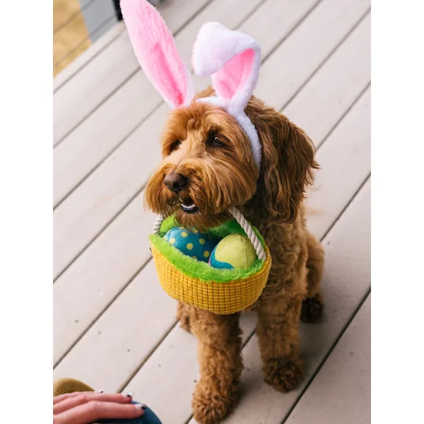 Peluche pour chien - Hippity Hoppity - Panier de pâques 🧺