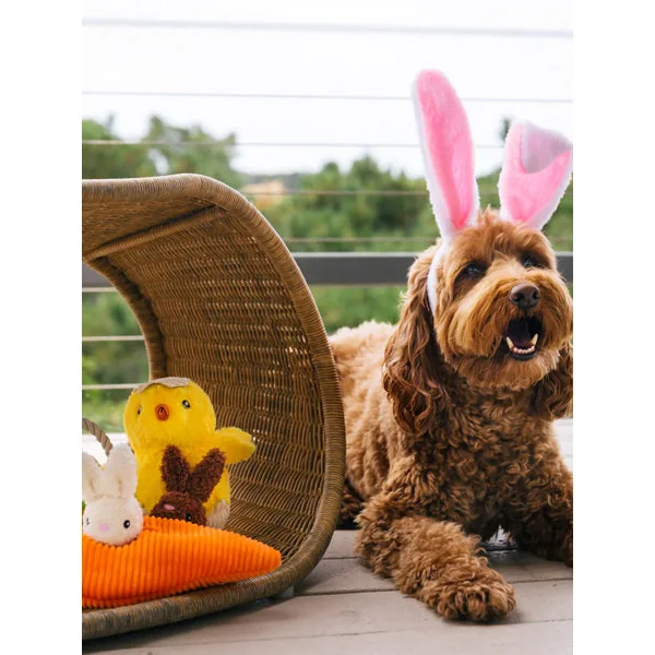 Peluche pour chien - Hippity Hoppity - Poussin dans son œuf 🐣