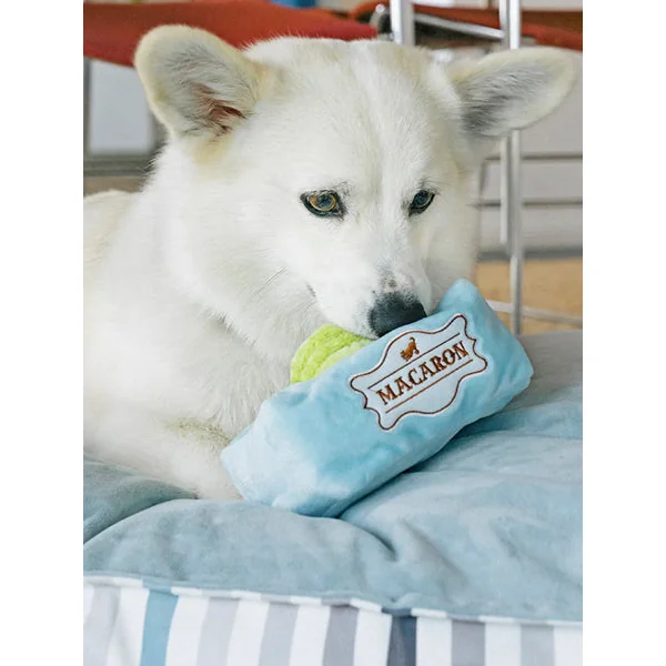 Peluche pour chien - Pup Cup Café - Macarons - Pet PLAY