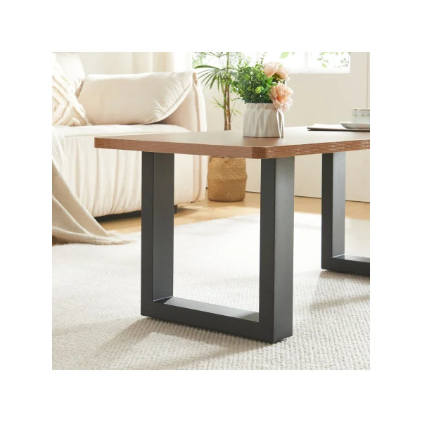 Pieds de Table Acier 30 x 43 cm Noir