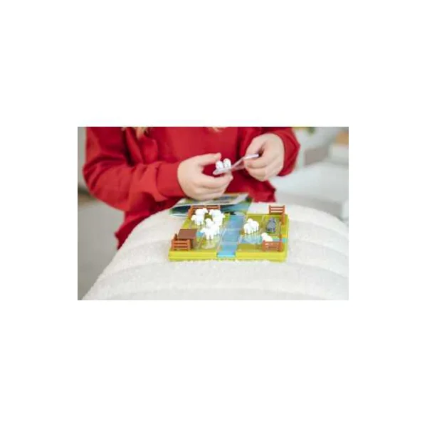 Pose Moutons - Smartgames