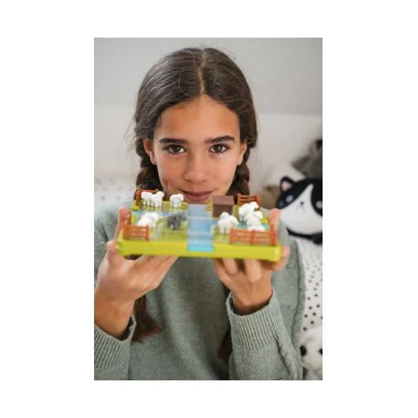Pose Moutons - Smartgames