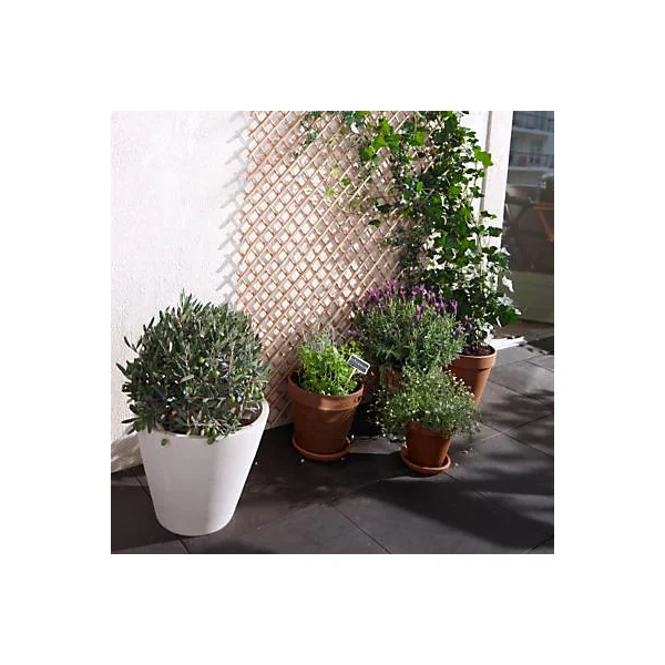 Pot Brut en Terre Cuite Naturelle ø27 cm
