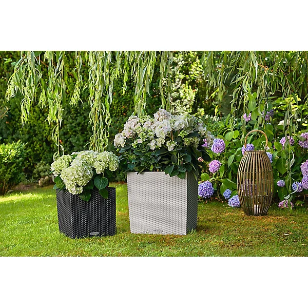 Pot carré Lechuza Cottage granit 30 x 30 x h.30 cm