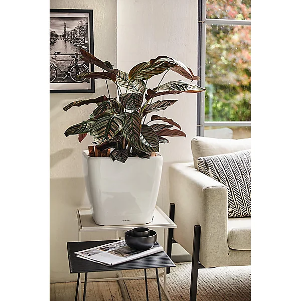 Pot carré Lechuza Premium LS blanc brillant 43 x 43 x h.40 cm