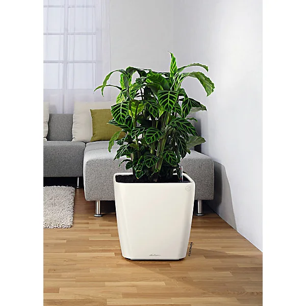 Pot carré Lechuza Premium LS blanc brillant 43 x 43 x h.40 cm
